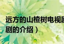 遠(yuǎn)方的山楂樹電視?。P(guān)于遠(yuǎn)方的山楂樹電視劇的介紹）