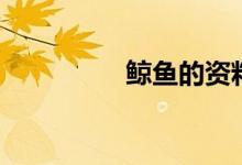 鯨魚的資料（鯨魚簡(jiǎn)介）