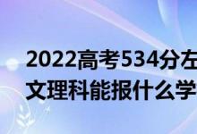 2022高考534分左右能上哪些大學（新高考文理科能報什么學校）