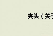 夾頭（關于夾頭的介紹）