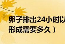 卵子排出24小時(shí)以后受孕幾率大嗎（受精卵形成需要多久）