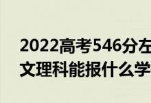 2022高考546分左右能上哪些大學（新高考文理科能報什么學校）