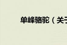 單峰駱駝（關(guān)于單峰駱駝的介紹）