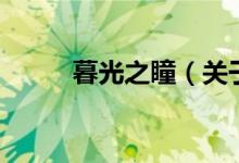 暮光之瞳（關(guān)于暮光之瞳的介紹）