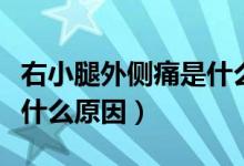 右小腿外側(cè)痛是什么原因（右小腿外側(cè)疼痛是什么原因）