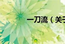 一刀流（關(guān)于一刀流的介紹）