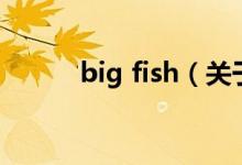 big fish（關(guān)于big fish的介紹）