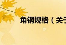 角鋼規(guī)格（關于角鋼規(guī)格的介紹）