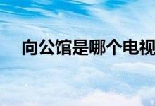 向公館是哪個(gè)電視劇（下面為大家講解）