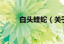 白頭蝰蛇（關(guān)于白頭蝰蛇的介紹）