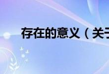 存在的意義（關(guān)于存在的意義的介紹）