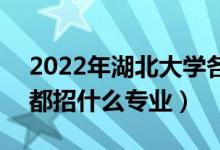 2022年湖北大學各省招生計劃及招生人數（都招什么專業(yè)）
