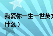 我愛你一生一世英文（我愛你一生一世英文是什么）