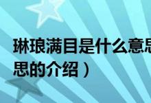 琳瑯滿目是什么意思（關(guān)于琳瑯滿目是什么意思的介紹）