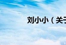 劉小?。P(guān)于劉小小的介紹）