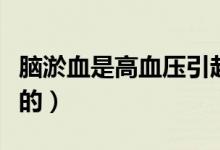 腦淤血是高血壓引起的嗎（腦淤血是怎么引起的）