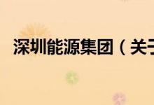深圳能源集團（關于深圳能源集團的介紹）