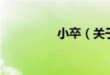 小卒（關(guān)于小卒的介紹）