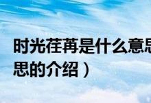 時光荏苒是什么意思（關(guān)于時光荏苒是什么意思的介紹）