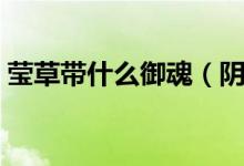 瑩草帶什么御魂（陰陽師瑩草御魂搭配推薦）