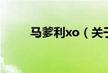 馬爹利xo（關(guān)于馬爹利xo的介紹）
