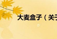 大麥盒子（關(guān)于大麥盒子的介紹）