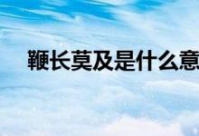 鞭長莫及是什么意思（鞭長莫及的含義）