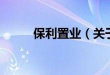 保利置業(yè)（關(guān)于保利置業(yè)的介紹）