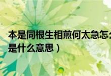 本是同根生相煎何太急怎么懟回去（本是同根生 相煎何太急是什么意思）