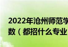 2022年滄州師范學(xué)院各省招生計(jì)劃及招生人數(shù)（都招什么專業(yè)）