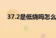 37.2是低燒嗎怎么降溫（37.2是低燒嗎）