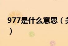 977是什么意思（關(guān)于977是什么意思的介紹）