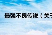 最強(qiáng)不良傳說(shuō)（關(guān)于最強(qiáng)不良傳說(shuō)的介紹）