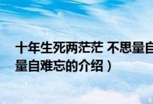 十年生死兩茫茫 不思量自難忘（關(guān)于十年生死兩茫茫 不思量自難忘的介紹）
