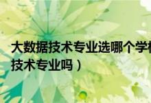 大數(shù)據(jù)技術(shù)專業(yè)選哪個(gè)學(xué)校（2022年高考550分能讀大數(shù)據(jù)技術(shù)專業(yè)嗎）
