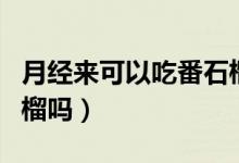 月經(jīng)來可以吃番石榴不（月經(jīng)期間可以吃番石榴嗎）