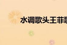 水調(diào)歌頭王菲歌詞（該歌詞出處）