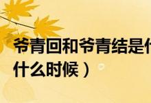 爺青回和爺青結(jié)是什么意思（爺青結(jié)一般用在什么時候）