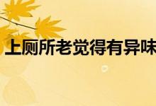 上廁所老覺(jué)得有異味（下面異味重什么原因）