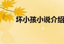 壞小孩小說介紹（壞小孩小說簡介）