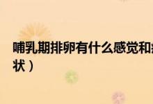 哺乳期排卵有什么感覺和癥狀（哺乳期第一次排卵有什么癥狀）