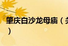 肇慶白沙龍母廟（關于肇慶白沙龍母廟的介紹）