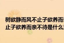樹欲靜而風不止子欲養(yǎng)而親不待是什么意思（樹欲靜而風不止子欲養(yǎng)而親不待是什么意思）