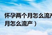 懷孕兩個(gè)月怎么流產(chǎn)需要坐月子嗎（懷孕兩個(gè)月怎么流產(chǎn)）
