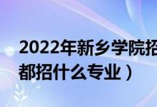2022年新鄉(xiāng)學(xué)院招生計劃及招生人數(shù)（各省都招什么專業(yè)）