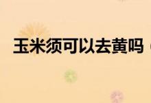 玉米須可以去黃嗎（玉米須可以去濕氣嗎）