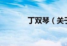 丁雙琴（關(guān)于丁雙琴的介紹）