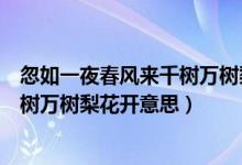 忽如一夜春風(fēng)來千樹萬樹梨花開的含義（忽如一夜春風(fēng)來千樹萬樹梨花開意思）