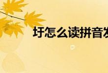 圩怎么讀拼音發(fā)音（圩怎么讀音）
