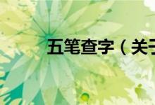 五筆查字（關(guān)于五筆查字的介紹）